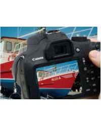 Photo Gallery
