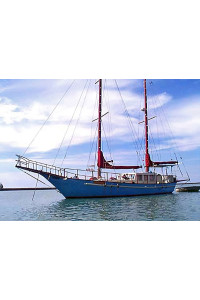 Spray 40 Gallery - one of the first Sprays built in Brisbane